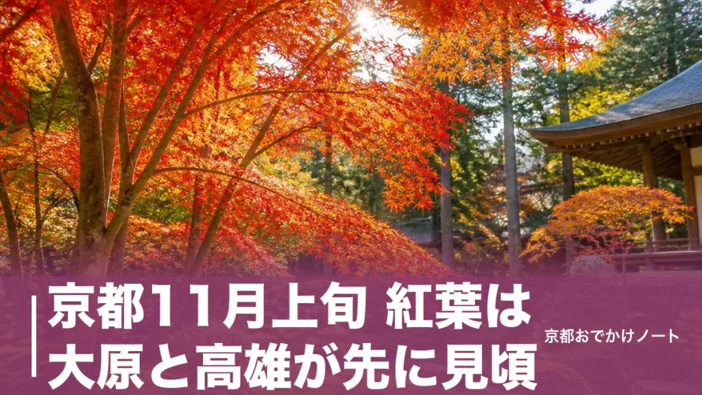 京都11月上旬 紅葉は大原と高雄が先に見頃｜三千院8:45開門から組む回り方と注意点のアイキャッチ画像