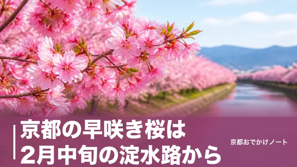 京都の早咲き桜は2月中旬の淀水路から｜平野神社の魁・植物園のカンヒザクラへつなぐ順番のアイキャッチ画像