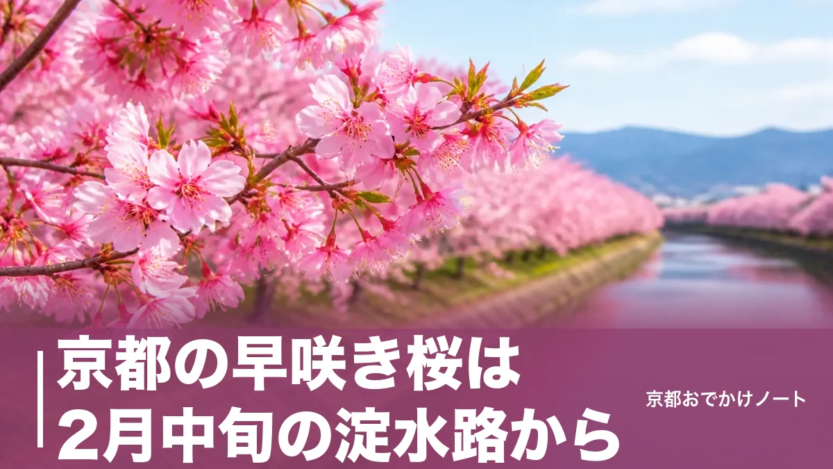 京都の早咲き桜は2月中旬の淀水路から|平野神社の魁・植物園のカンヒザクラへつなぐ順番のアイキャッチ画像