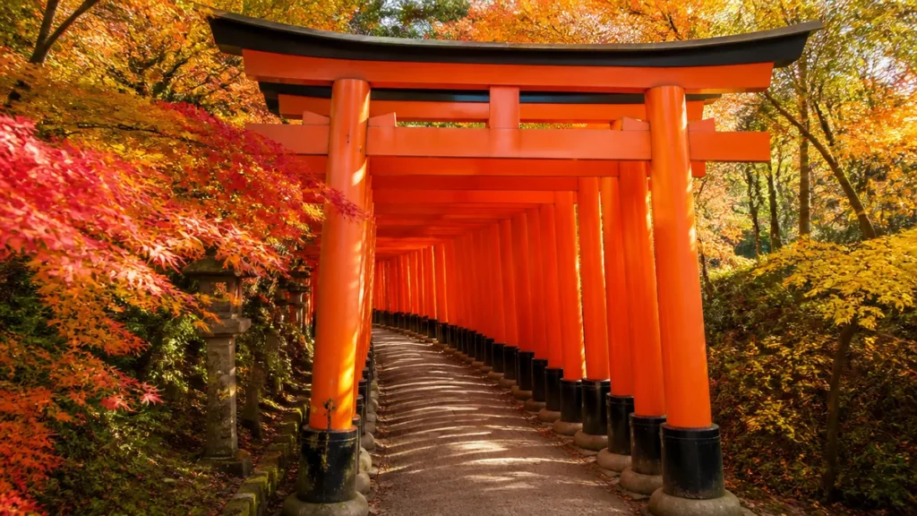 伏見稲荷紅葉は11月中旬〜12月上旬｜千本鳥居の先の八島ヶ池と東福寺を回る段取りのアイキャッチ画像