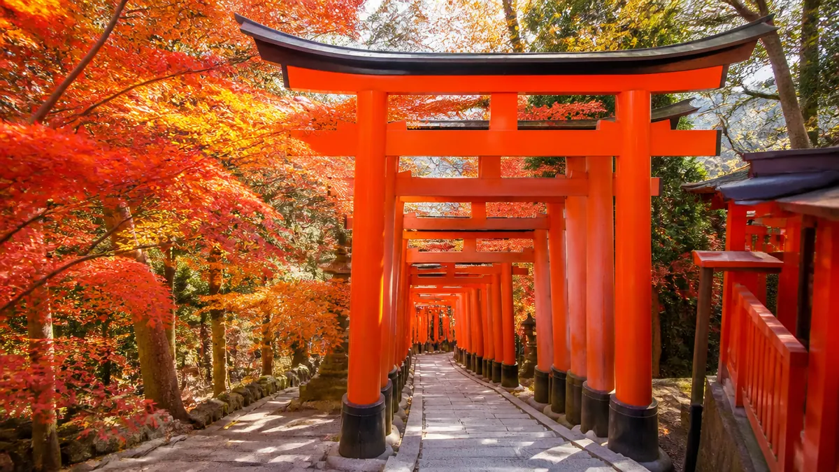 何時に着く？紅葉期の混雑を避ける時間の決め方の解説画像