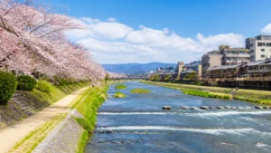 鴨川遊歩道は約27kmの川沿いを区間で歩き分ける｜出町柳デルタ・三条四条と条例の注意のアイキャッチ画像