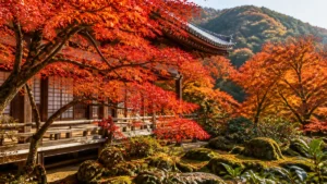 京都紅葉 今年は 遅い？嵐山は11月下旬以降の予想、平年差+6日で組む日程と予約の順番のアイキャッチ画像