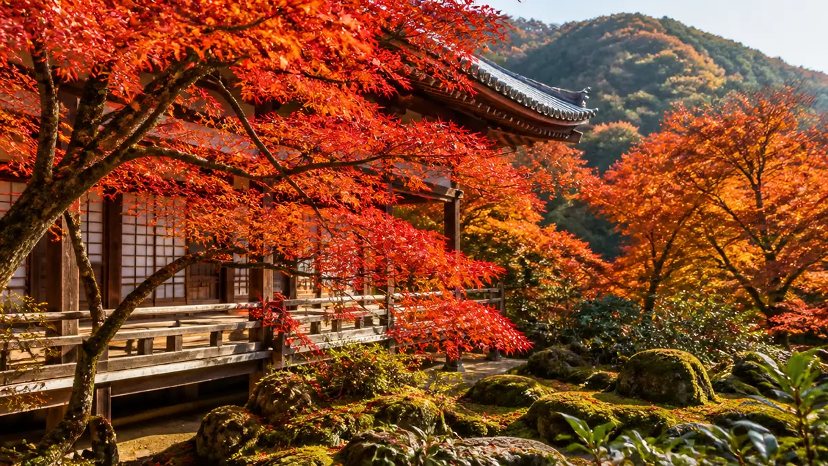 京都紅葉 今年は 遅い？嵐山は11月下旬以降の予想、平年差+6日で組む日程と予約の順番のアイキャッチ画像