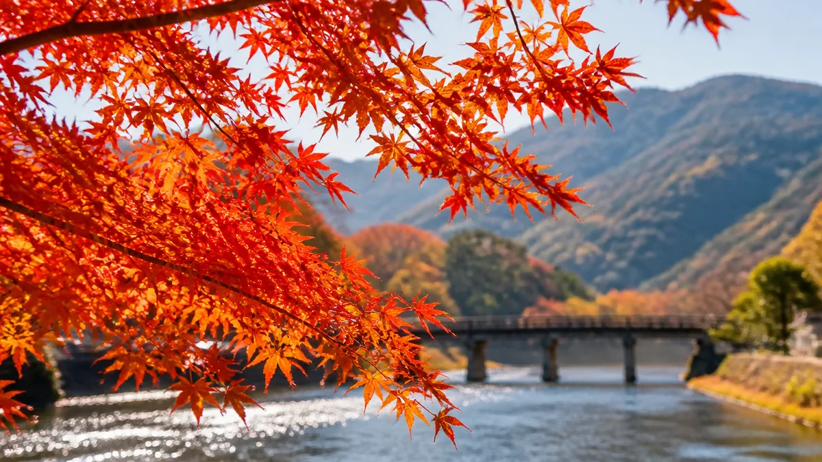 京都紅葉は今年は遅い？2026年の予想を3つの数字で確かめるの解説画像