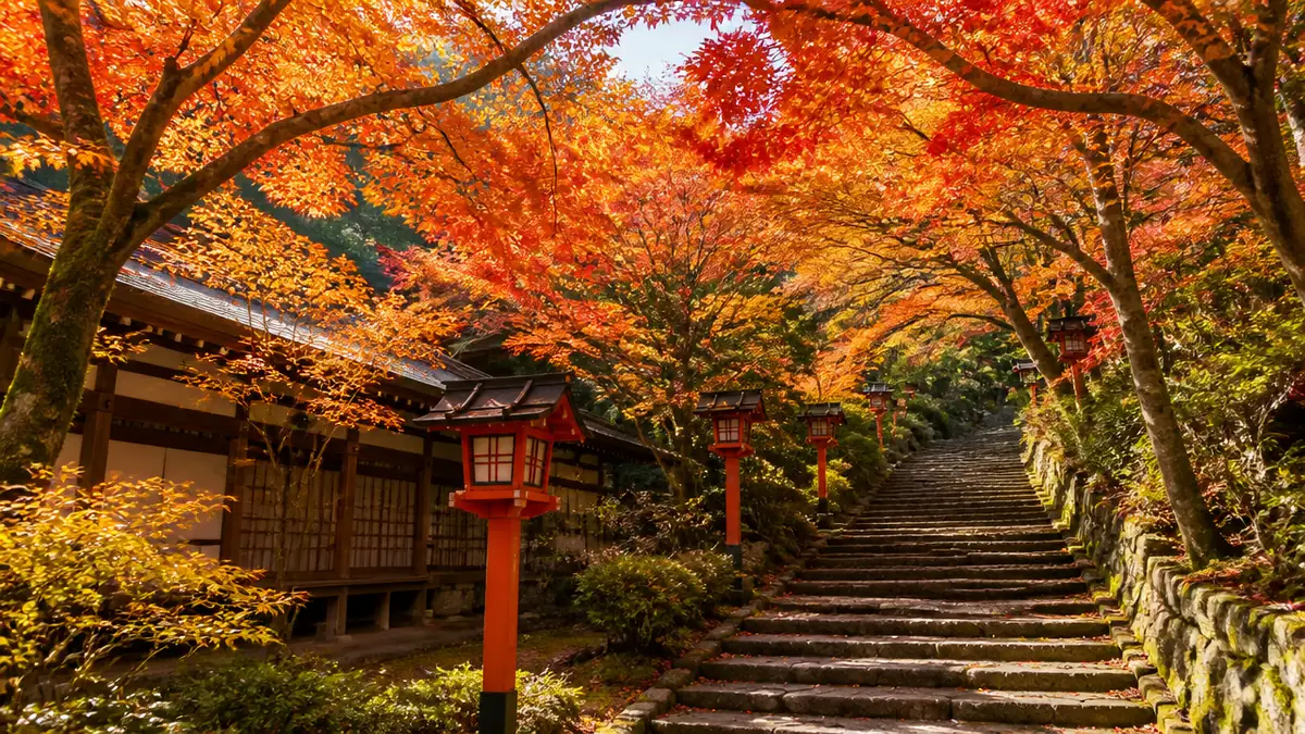 鞍馬寺の紅葉はいつ行く?見頃の目安と色づきの確かめ方の解説画像