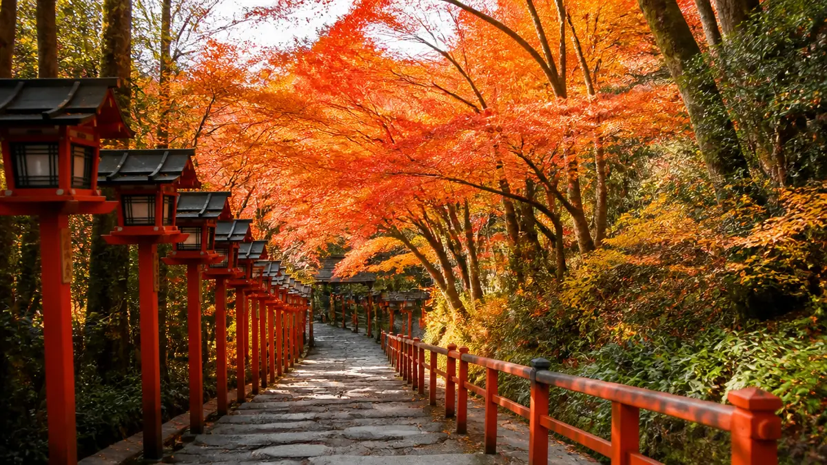ケーブルか九十九折の参道か|紅葉を見るならどちらの道?の解説画像