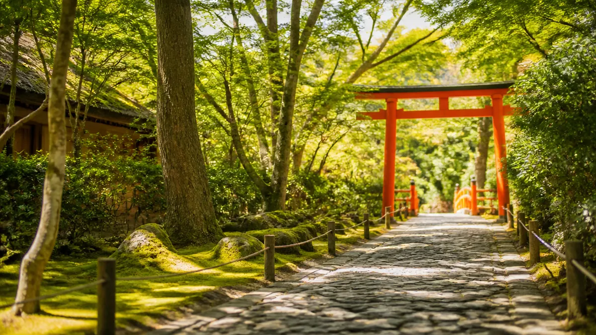 京都穴場 散歩はどのエリアを選ぶと歩きやすい？の解説画像
