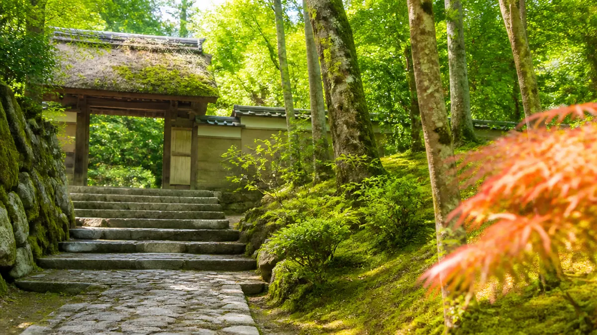 嵯峨野の奥にある祇王寺へは駅から歩く？車で行く？の解説画像
