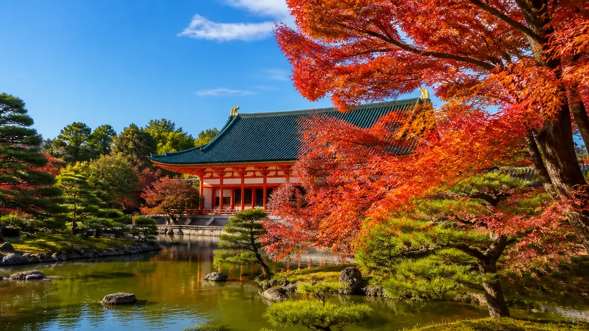平安神宮紅葉はいつ見に行く?例年11月中旬という目安と今年の確かめ方の解説画像