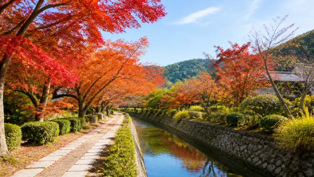 哲学の道紅葉の見頃は11月中旬〜12月上旬｜約1.8kmを北から歩く順番と永観堂の夜1,000円のアイキャッチ画像