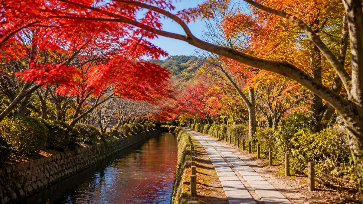 哲学の道紅葉の見頃はいつ？例年11月中旬〜12月上旬の読み方の解説画像