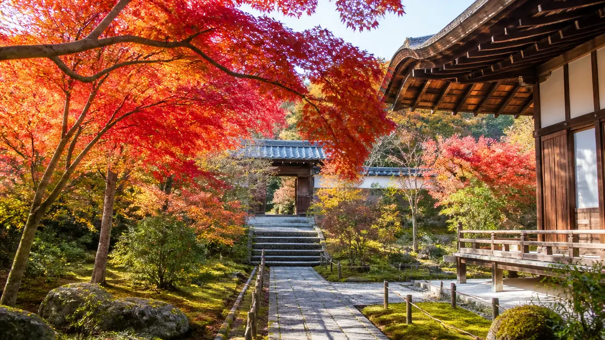 沿道の4寺、紅葉期の拝観時間と料金はどう違う？の解説画像