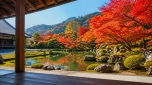 天龍寺もみじは例年11月中旬〜下旬｜早朝参拝7:30と庭園500円で回る嵐山の段取りのアイキャッチ画像
