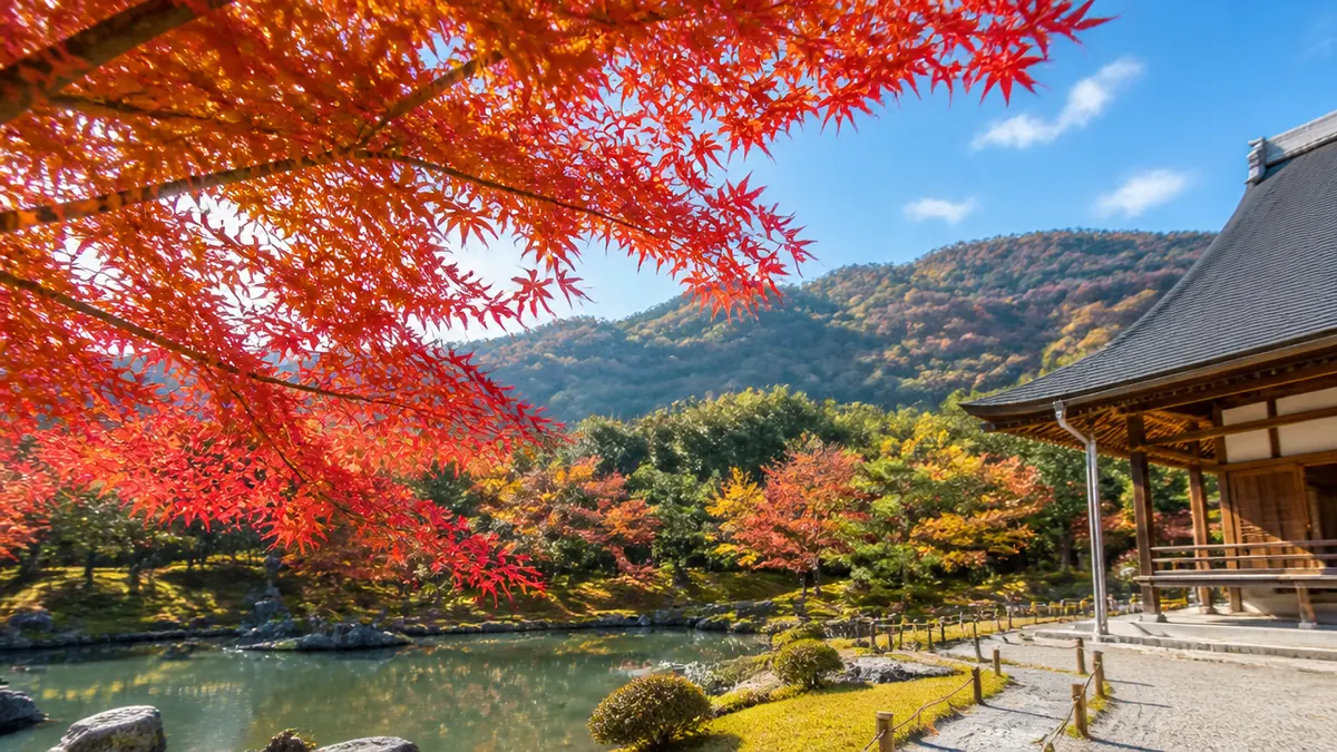 天龍寺 もみじの見頃はいつ?例年の時期と2026年秋の予想の解説画像