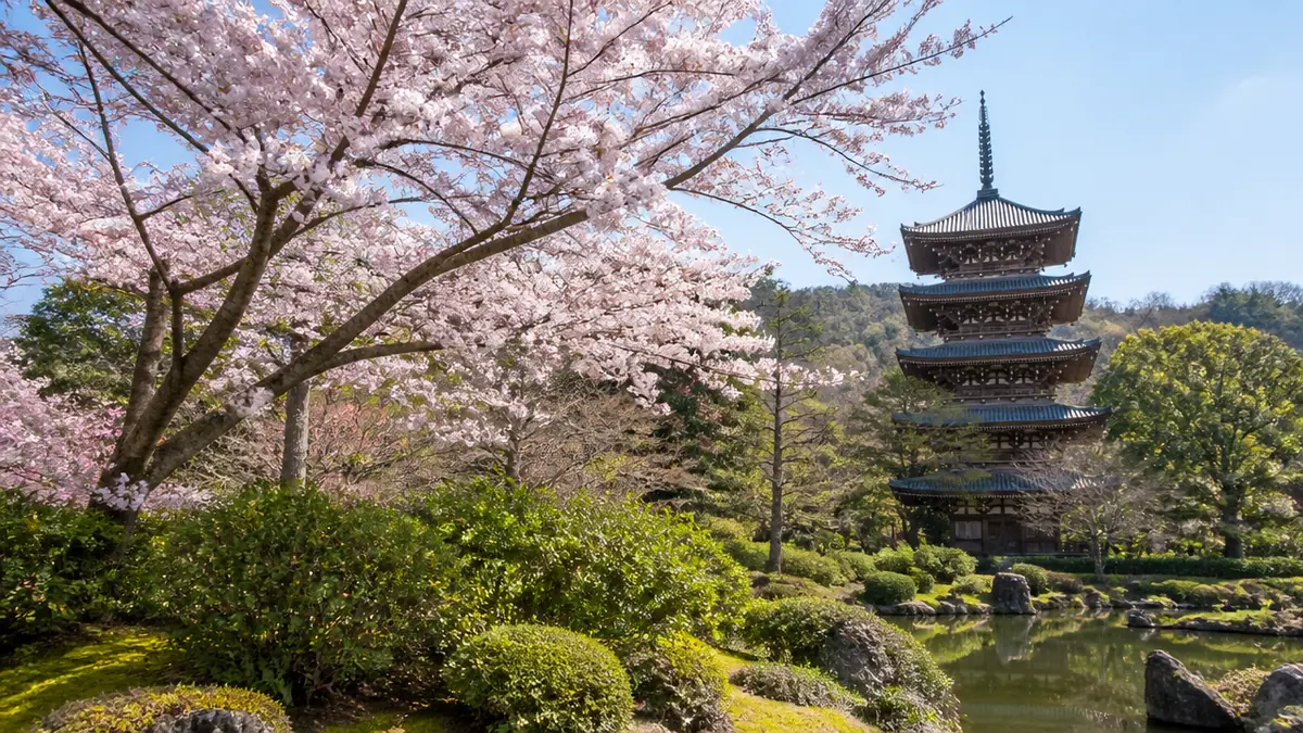 京都桜おすすめコースは咲く順で組む｜東山から御室・醍醐へ、拝観600円〜1,800円のアイキャッチ画像