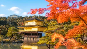 金閣寺秋の見頃は例年11月中旬〜下旬｜開門9:00の朝一と駐車場250台で組む段取りのアイキャッチ画像