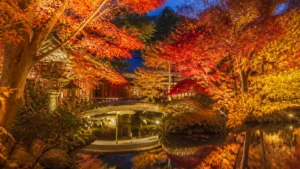 八坂神社紅葉は隣の円山公園で見る｜24時間参拝と高台寺22:00までの夜の回り方のアイキャッチ画像