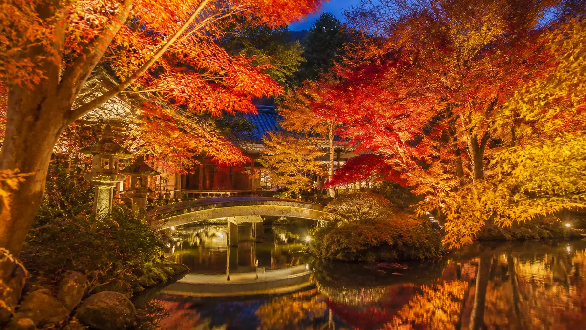 八坂神社紅葉は隣の円山公園で見る|24時間参拝と高台寺22:00までの夜の回り方のアイキャッチ画像