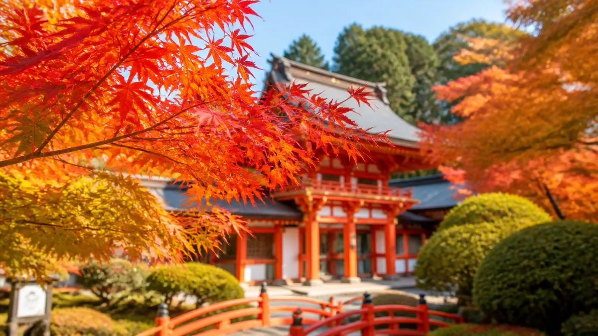 八坂神社紅葉はどこで見る?境内より隣の円山公園が本番になる理由の解説画像