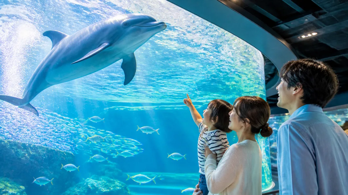 京都水族館所要時間の目安は?公式の「1時間30分~2時間」の読み方の解説画像