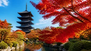 紅葉東寺は昼と夜で別料金｜見頃11月中旬〜下旬と五重塔初層1,200円・夜1,000円の回り方のアイキャッチ画像