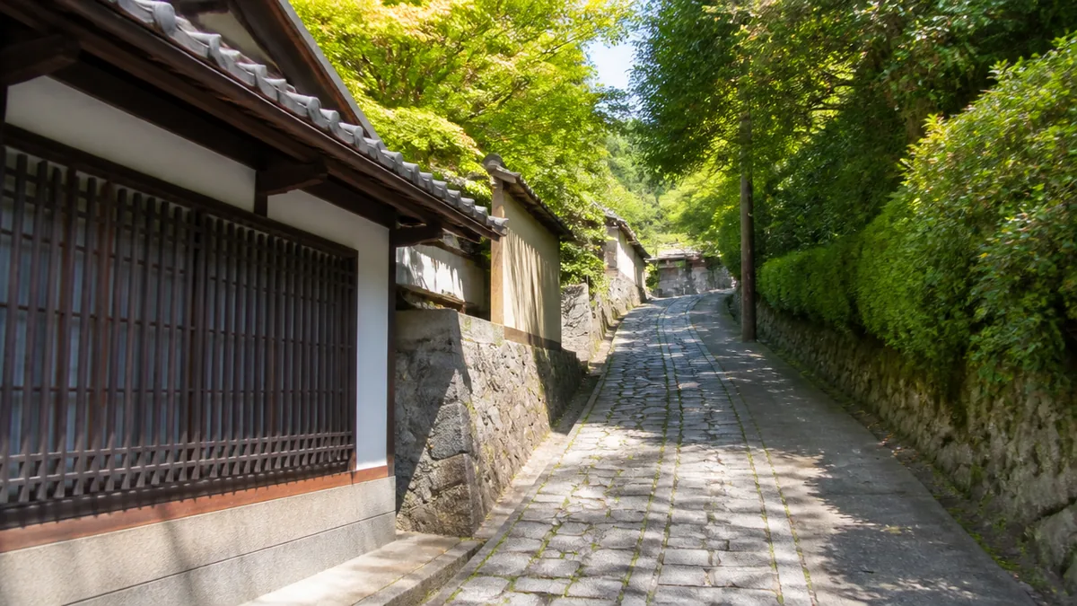 バスと車、どちらで行く?清閑寺山ノ内町バス停からの上り坂の解説画像