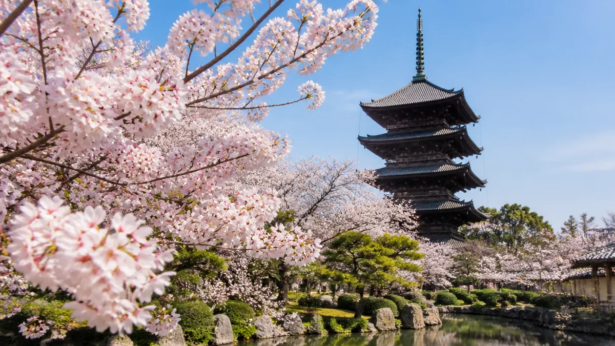不二桜と五重塔はどう見る?境内で押さえたい見どころと順番の解説画像