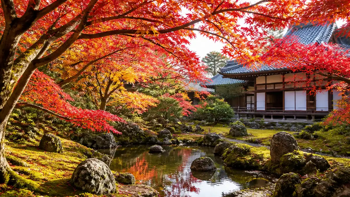 仁和寺もみじは例年11月中旬〜下旬｜御所庭園1,000円の期間と金土日祝だけのライトアップのアイキャッチ画像
