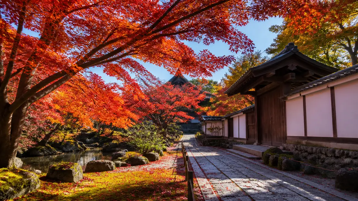 仁和寺もみじの見頃はいつ？例年11月中旬〜下旬と2026年秋の行事カレンダーの解説画像